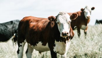 james-coleman-UAIlrcTK4qU-unsplash james-coleman-UAIlrcTK4qU-unsplash